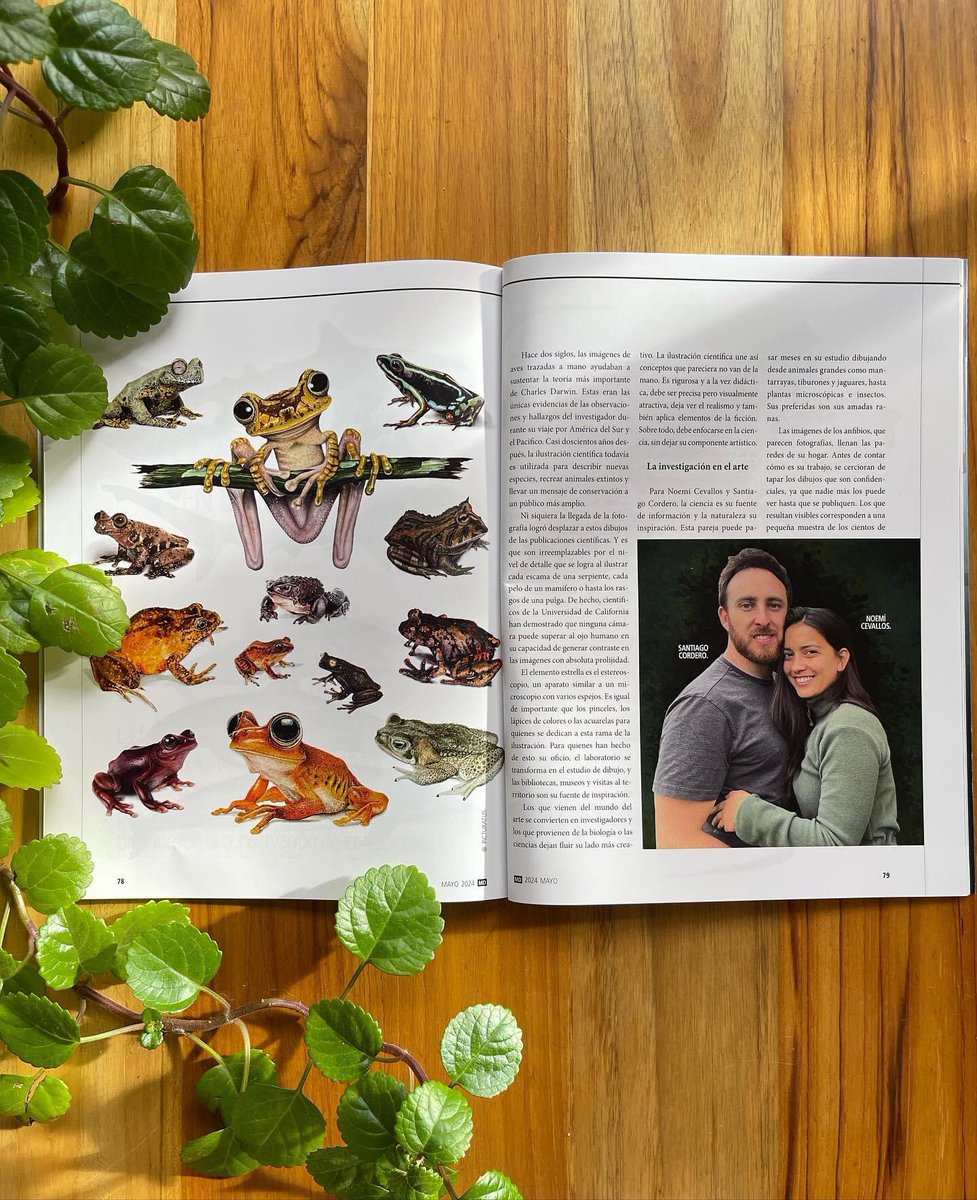 Noemí Cevallos tweet media