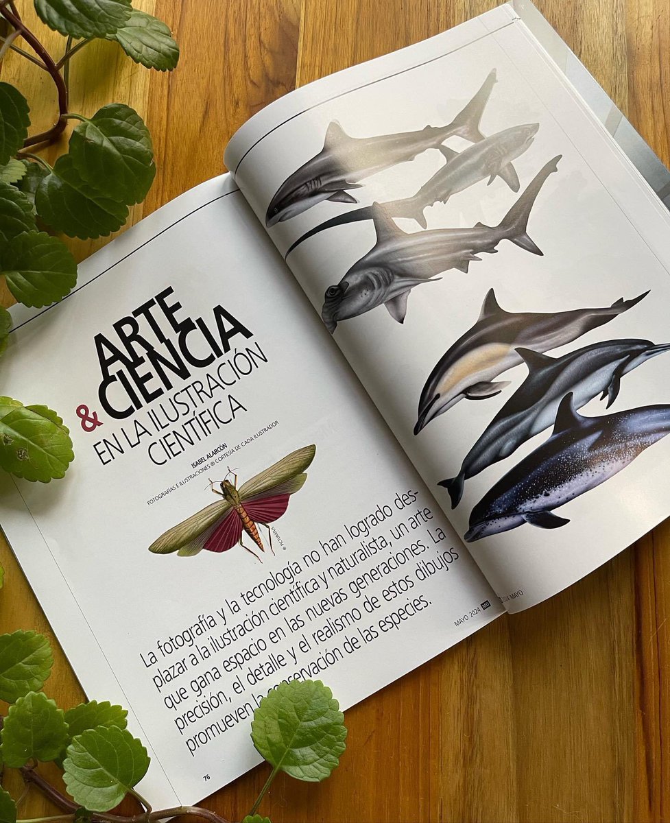 Noemí Cevallos tweet media