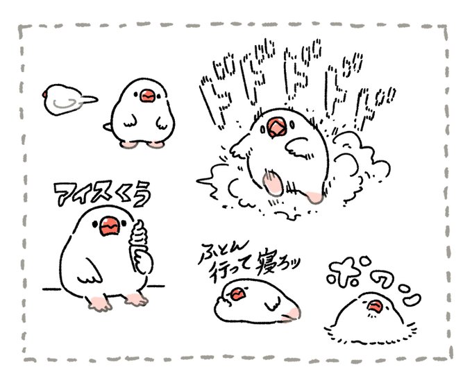 文鳥~ 