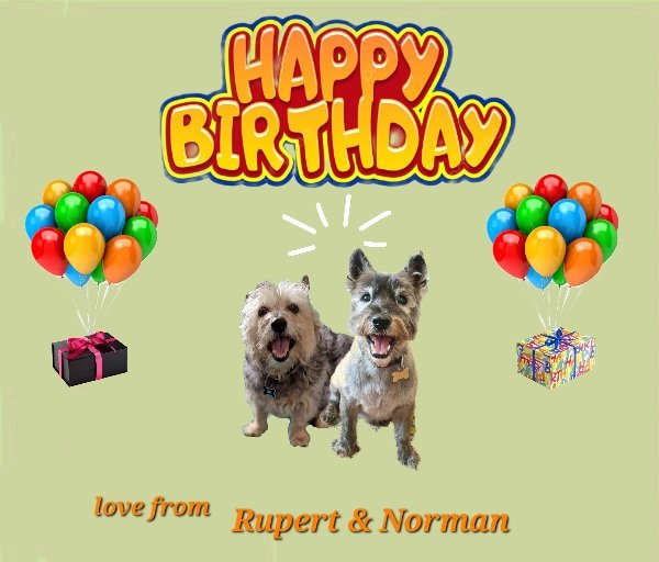Happy Birthday Todd 🎂 Love from Rupert and Norman xxx @Norman_Dillon1 #BovverBoys