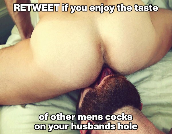 A Cucks hole 🕳️ (@a_cucks_hole) on Twitter photo 