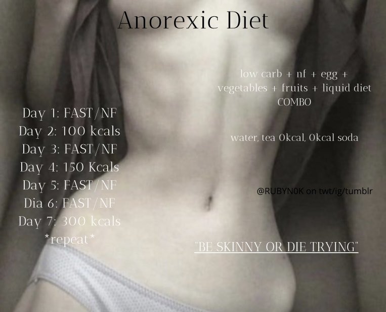 fiz essa dieta inspirada nas divas anoréxicas de 2010 porque eu estou simplesmente obcecada com elas