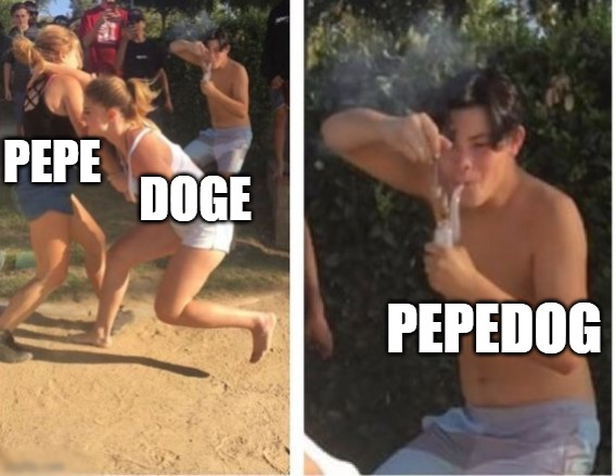 $PEPEDOG is on another level.