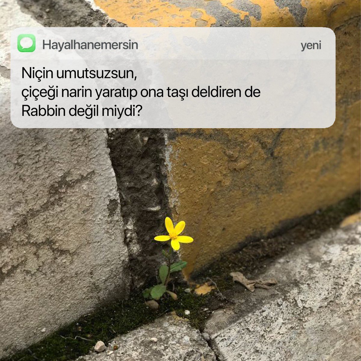 Niçin umutsuzsun..
Çiçeği narin yaratıp ona taşı deldiren de Rabbin değil miydi?