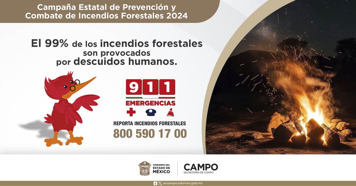 🔥 ¡Protejamos nuestros bosques! El 99% de los #IncendiosForestales son causados por descuidos humanos. 📞 Reporta cualquier incidencia al Teléfono Rojo de #Probosque: 800 590 1700, o al 911. #PrevenirEsMejorQueCombatir