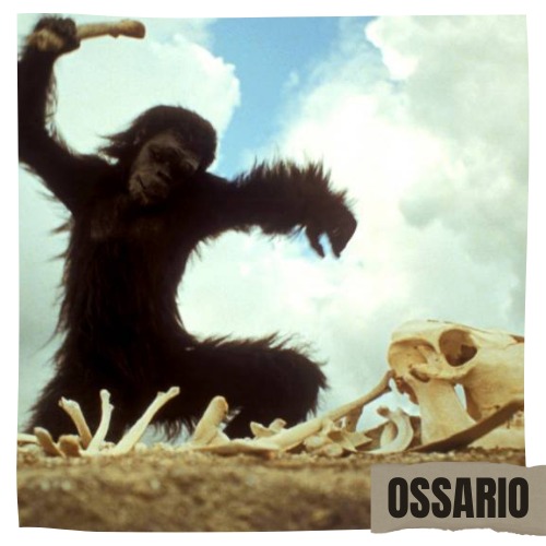 ❗I libri delle brigate rosse
Parte 3 - il racconto 

Si conclude questo percorso tra i testi delle brigate rosse,un percorso letterario che ci restituisce non solo uno dei periodi storici più complessi, ma anche molti aspetti soggettivi dei protagonisti

lautoradio.net/i-libri-delle-…