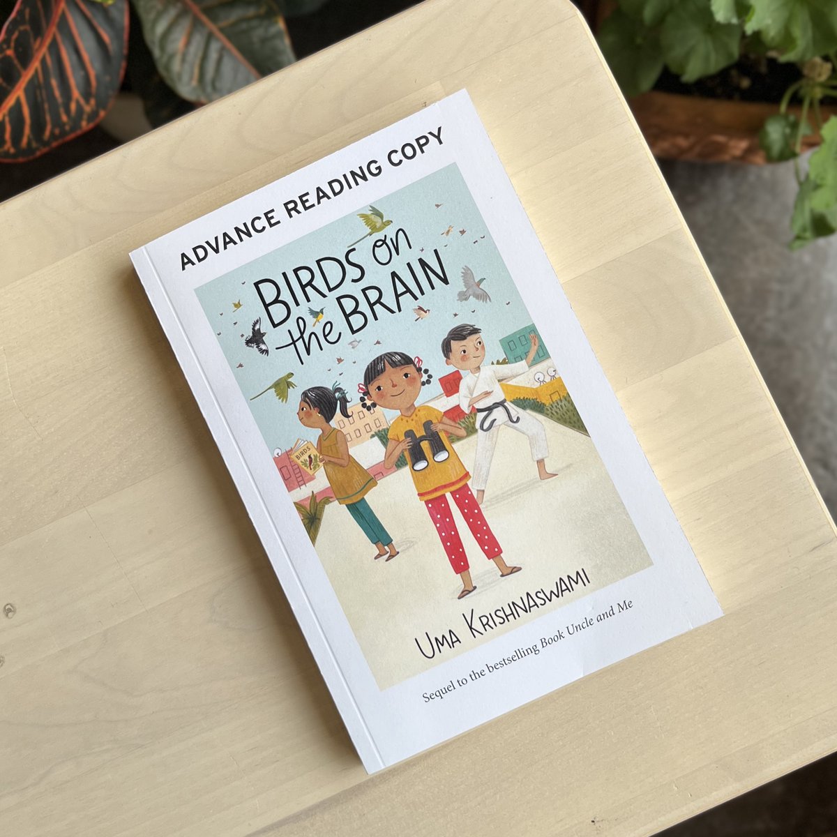 We've got BIRDS ON THE BRAIN! 🐦

Book two in the Book Uncle Trilogy follows bird lover Reeni on a quest to save her city’s bird count event when the mayor tries to shut it down. 

Coming August 6!  Learn more about this book: houseofanansi.com/products/birds…