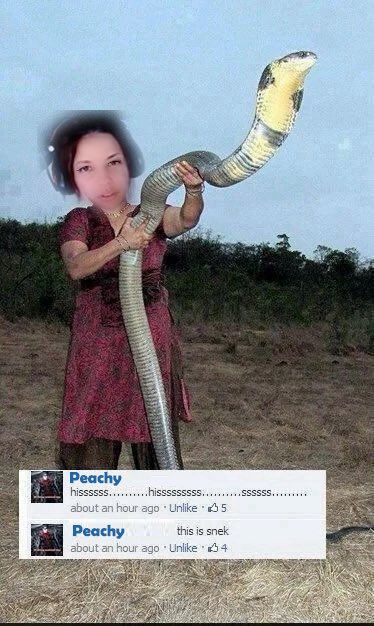 PeachiestMe's tweet photo. I told the epic tale of my battle with a snake at work to my lovely chat. They gave me the honor of cementing it forever in history with lovely art🐍🖤Here’s some honorable mentions https://t.co/kom1FhWI8W