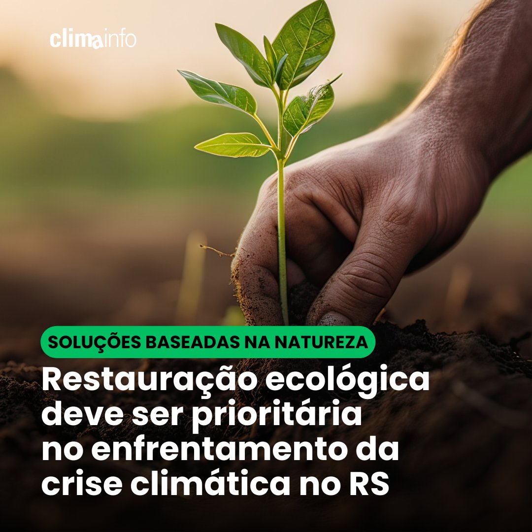 “Tal plano é imprescindível para que possamos tomar medidas que reduzam, minimizem e evitem efeitos catastróficos dos eventos climáticos extremos”, afirma ofício enviado ao Ministério do Meio Ambiente e Mudanças do Clima pela a Rede Sul de Restauração Ecológica.👇