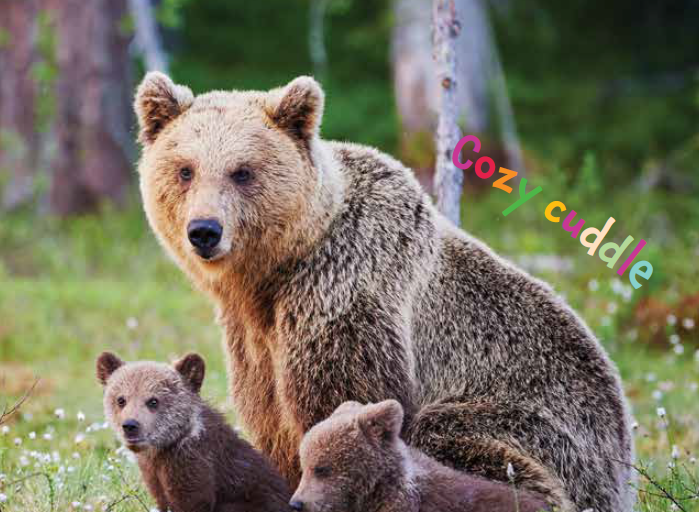 These friendly furballs are just adorable! Learn more about baby brown bears, from their ears to their tails, in “Hello Baby Brown Bear” one of four books in our Hello Baby Animals Series! rb.gy/dxl3lk