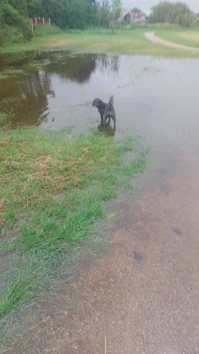 Oh how I’ve missed the rain this week 🐕‍🦺