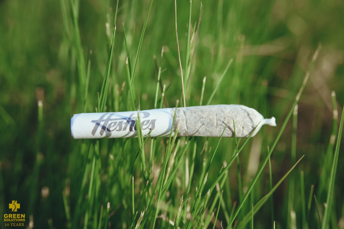 gsmidtownsac's tweet image. The grass is always greener over at Green Solutions 🌿Stop in for #TurnUpThursDaze: Spend $70+ and receive a $0.01 #preroll. OR spend $140+ and not only will we take $10 off your order, but we'll also include a $0.01 preroll 💨 #cannabiz #canna #joint #thc #dispenary #midtownsac