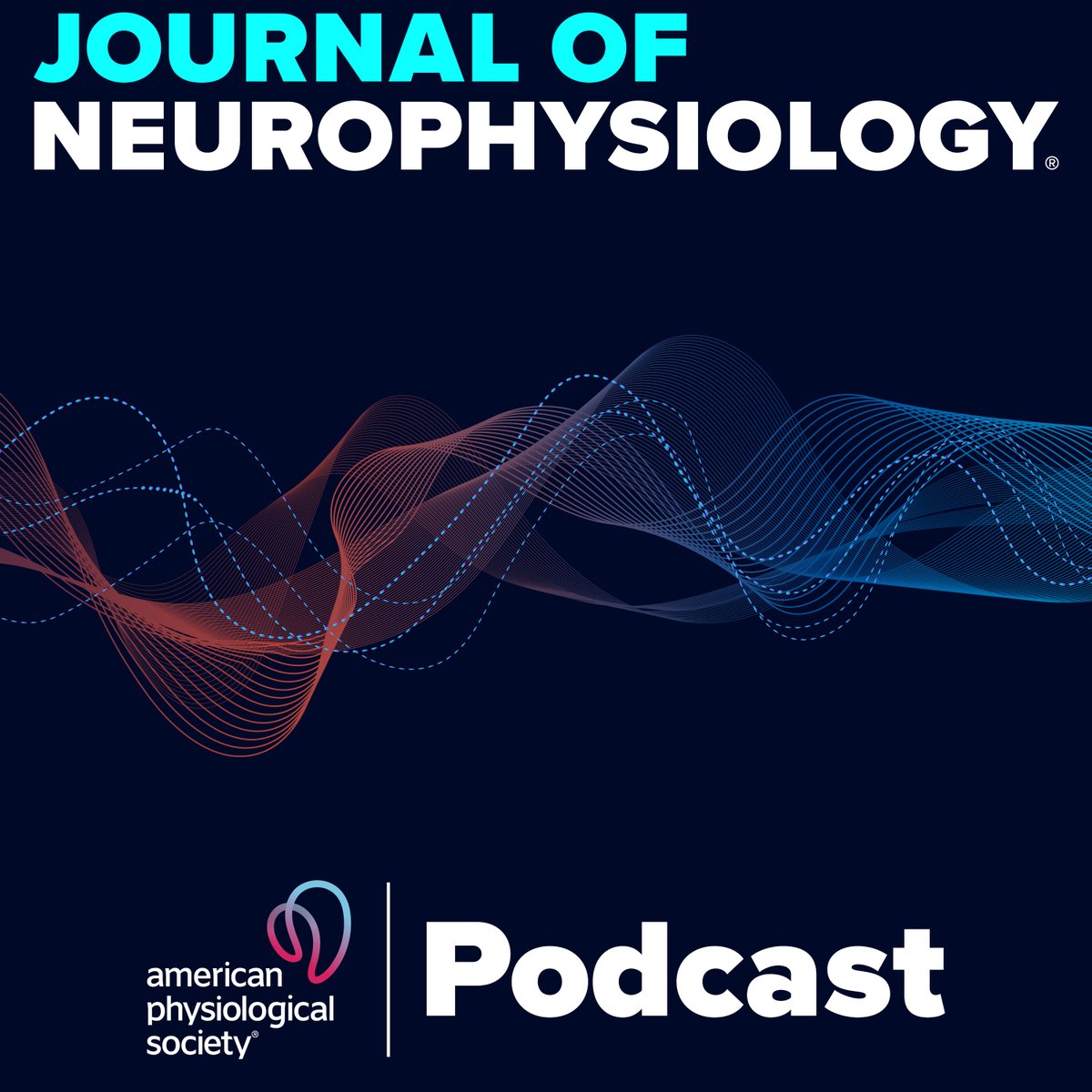 🦀🎙️Fascinating insights into neural networks! Savanna-Rae Fahoum delves into the latest research on #neuromodulation & bidirectional internetwork synapses in crabs. Discover how #neuropeptides facilitate coordination between separate networks. 🎧today! ow.ly/lYPN50RSZ4Q