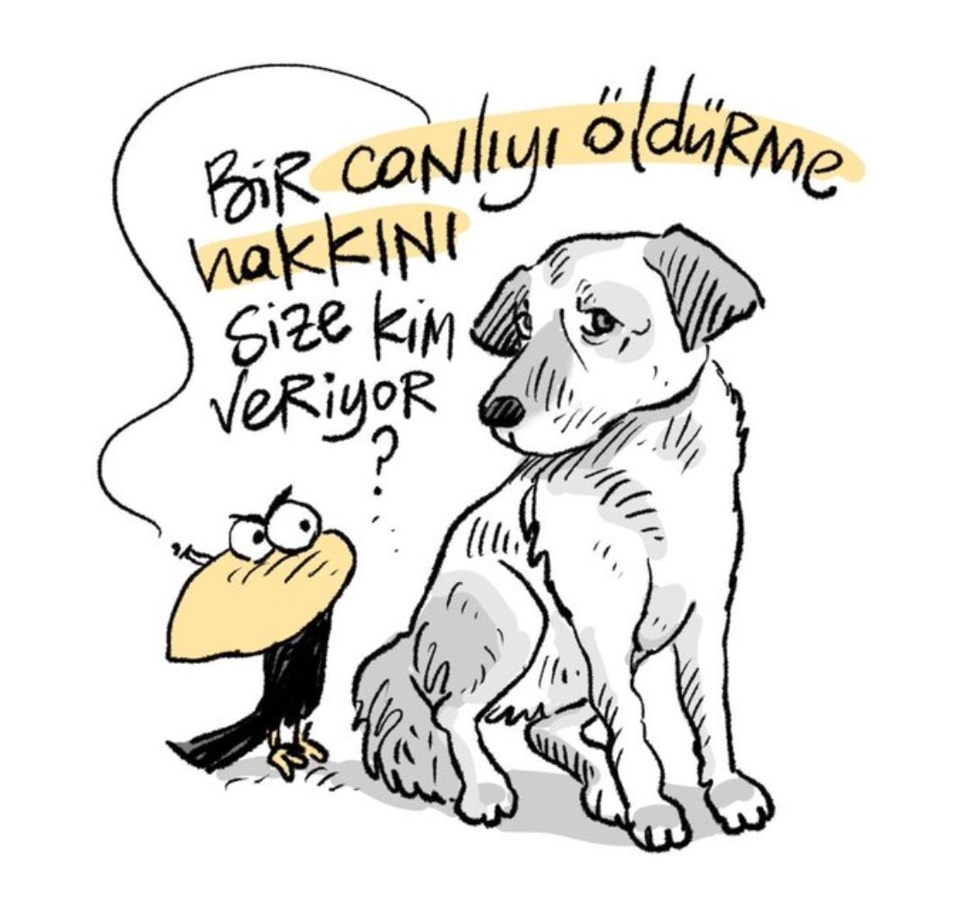 burcubayraktar's tweet photo. Katliama hayır!
#SokakHayvanlarıSahipsizDeğil https://t.co/NELNmM3Q9r