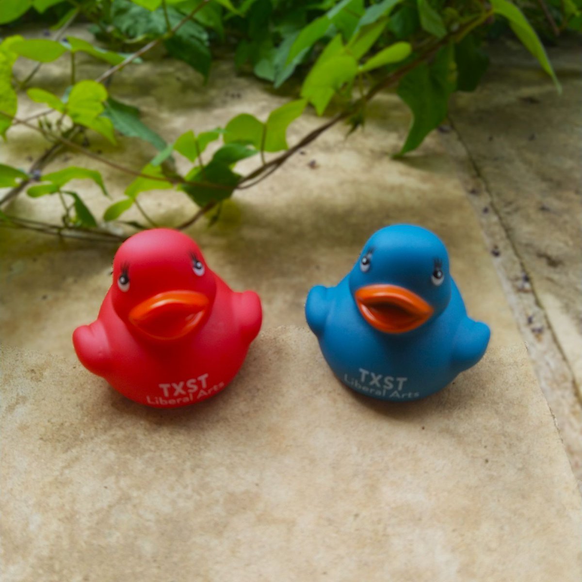 Meet Rojas and River, the newest additions to our Liberal Arts family!
Starting this summer they will be joining our programs, studying abroad and getting to know the campus. Keep an eye out for posts with them and their friends this summer and fall.