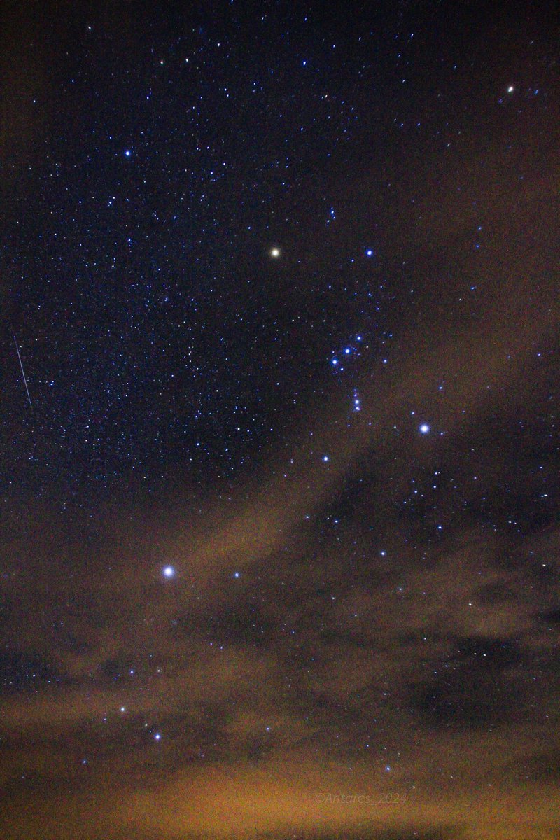 -Antares-© ⚡ The Star & Seismograph Machine 🌠☄️ tweet media