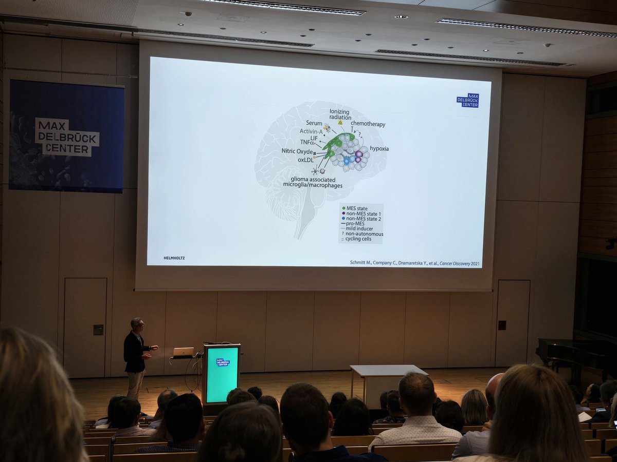 Impressive talk by <a href="/ggargiul_2020/">Gaetano Gargiulo & ggargiul.bsky.social</a> ! Thanks for organizing the Brain Tumor Meeting!