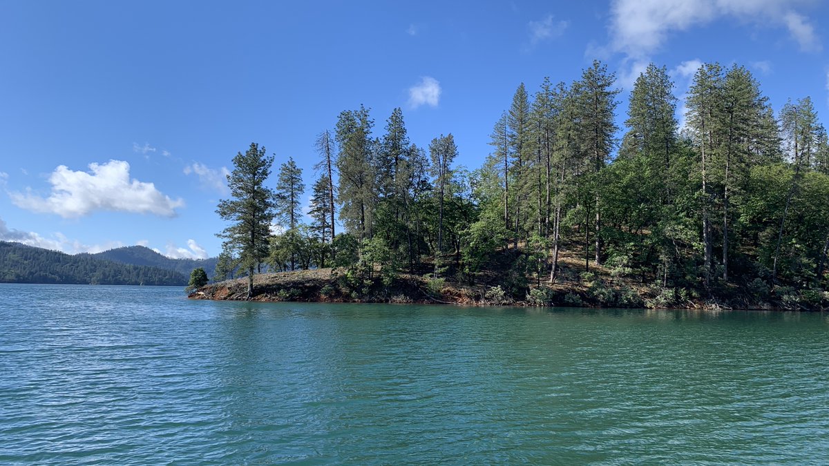 FilmCalifornia's tweet photo. The beautiful crystal waters of Shasta Lake, California’s largest reservoir.
#filmcalifornia #filmlocationca #filmshasta #shastlake @filmShasta https://t.co/gc94wJq1il