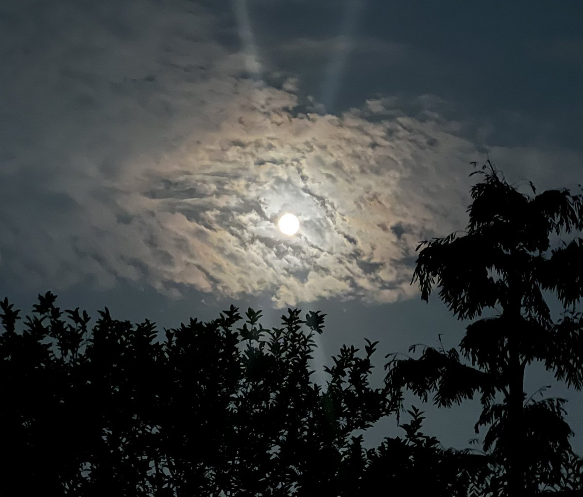 NeelimaShr's tweet photo. Magical Moon 🌕 #FullMoon बुद्ध पूर्णिमा https://t.co/lYYBjIPb8V