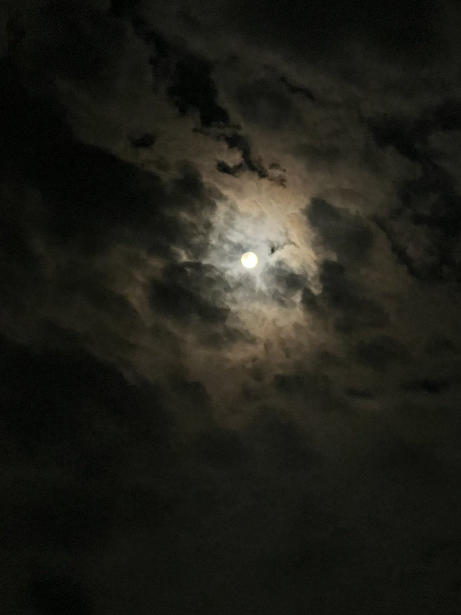 NeelimaShr's tweet photo. Magical Moon 🌕 #FullMoon बुद्ध पूर्णिमा https://t.co/lYYBjIPb8V
