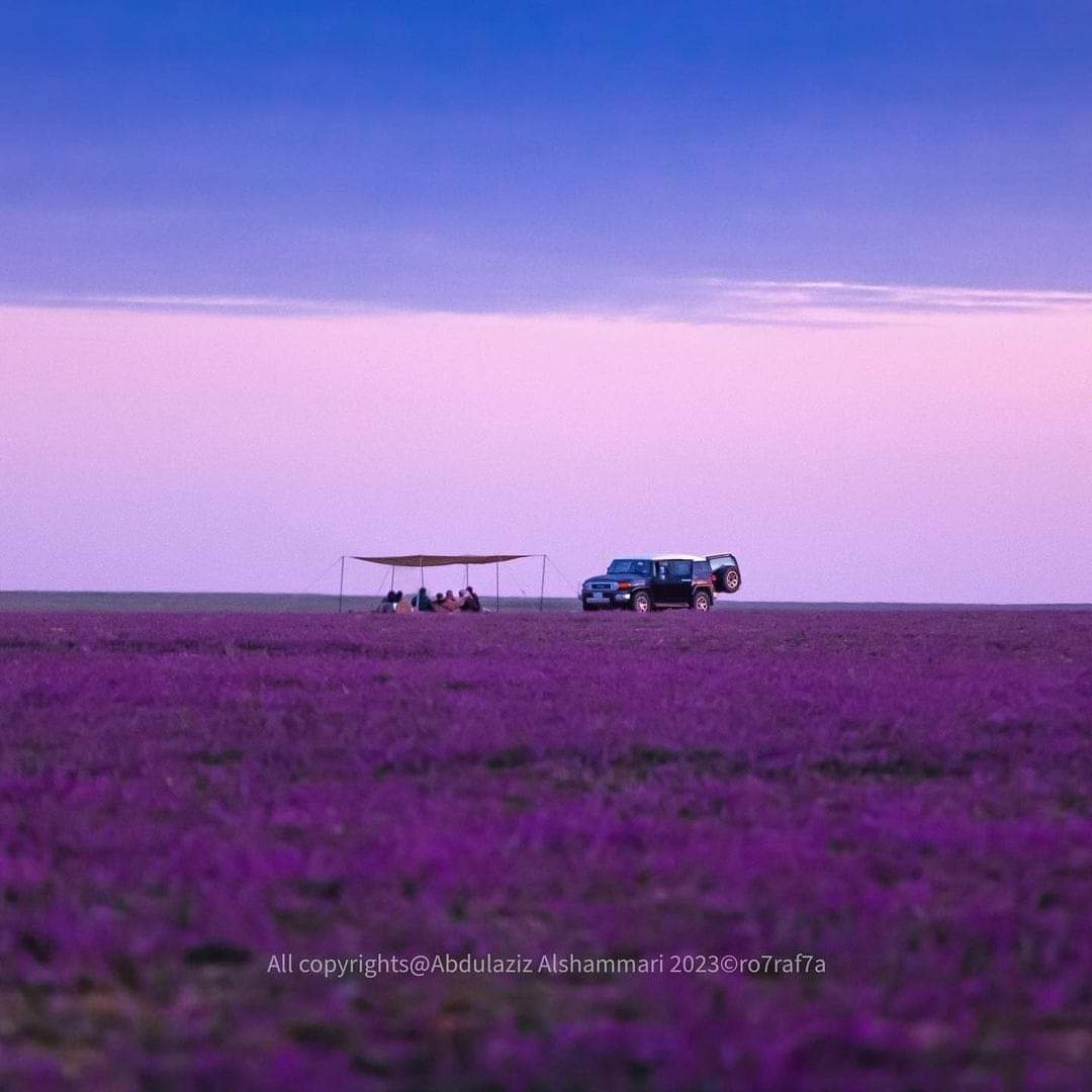 Screen Mix tweet media