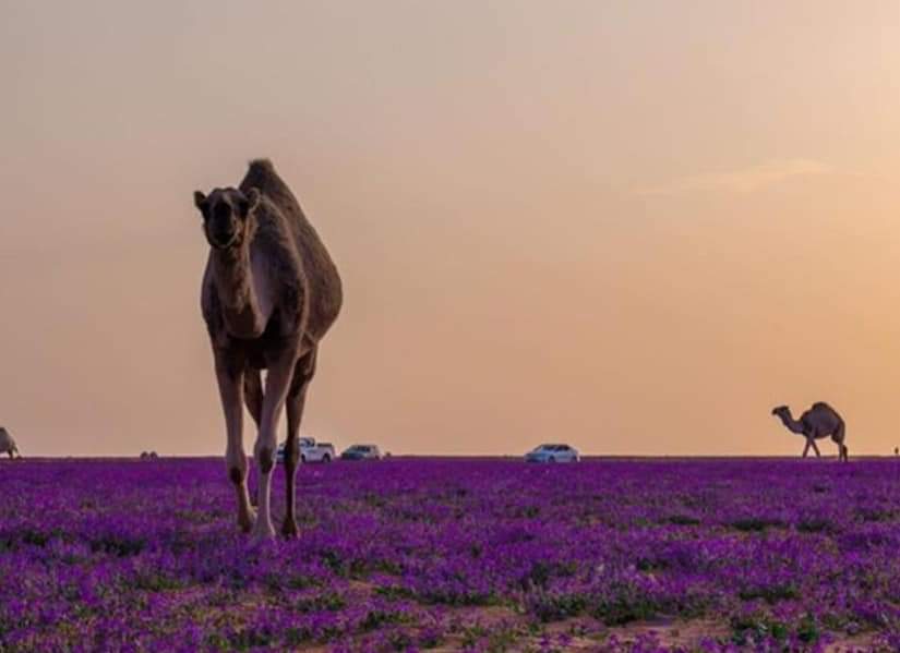 Screen Mix tweet media