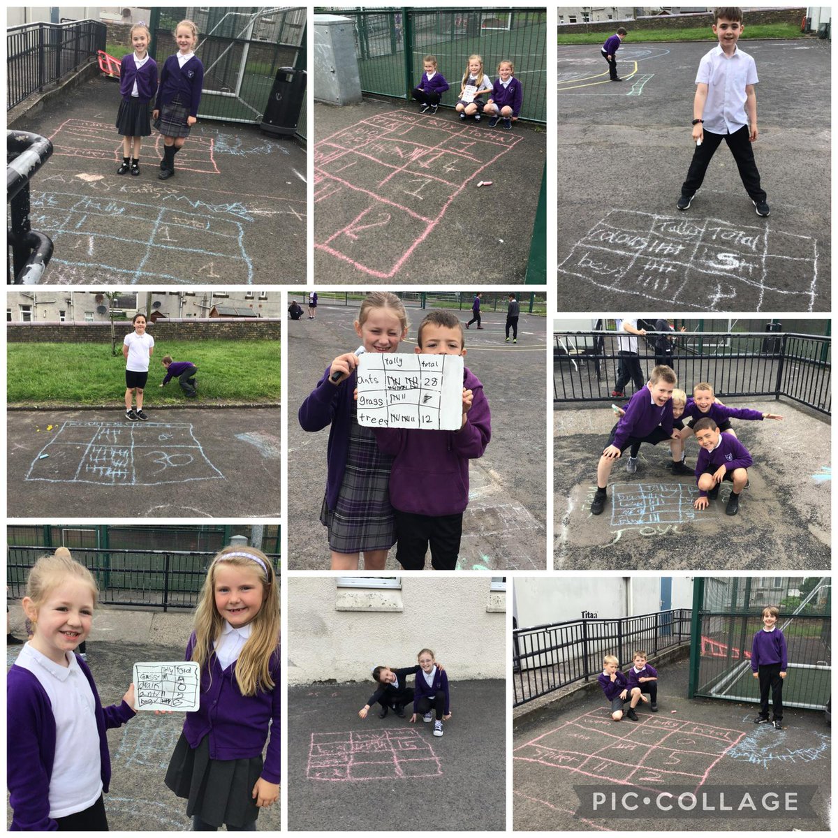 glebeps's tweet photo. Our fabulous Primary 3’s have been focussing on information handling in Maths! Today, they explored the playground and created tables using tally marks to show what they found! 🤩 #numeracyandmaths https://t.co/4Q5UDlR7HM