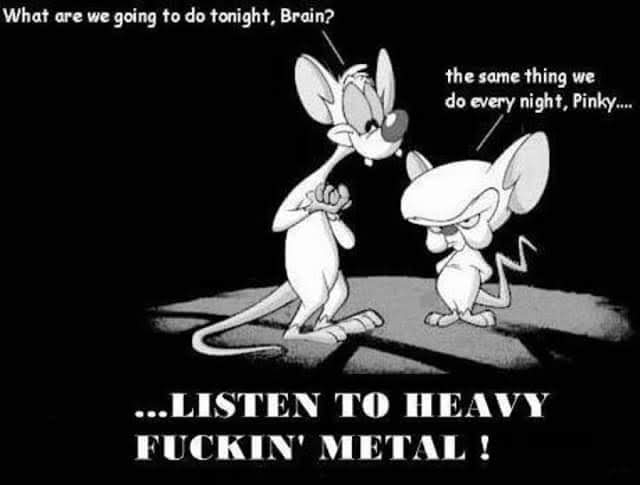 noodlesisn53081's tweet photo. You fucking know it!!!! 🤘🤘🤘🤘
#heavymetal #rockandroll #propermusic #rockerforlife https://t.co/ivL3s6mN4t