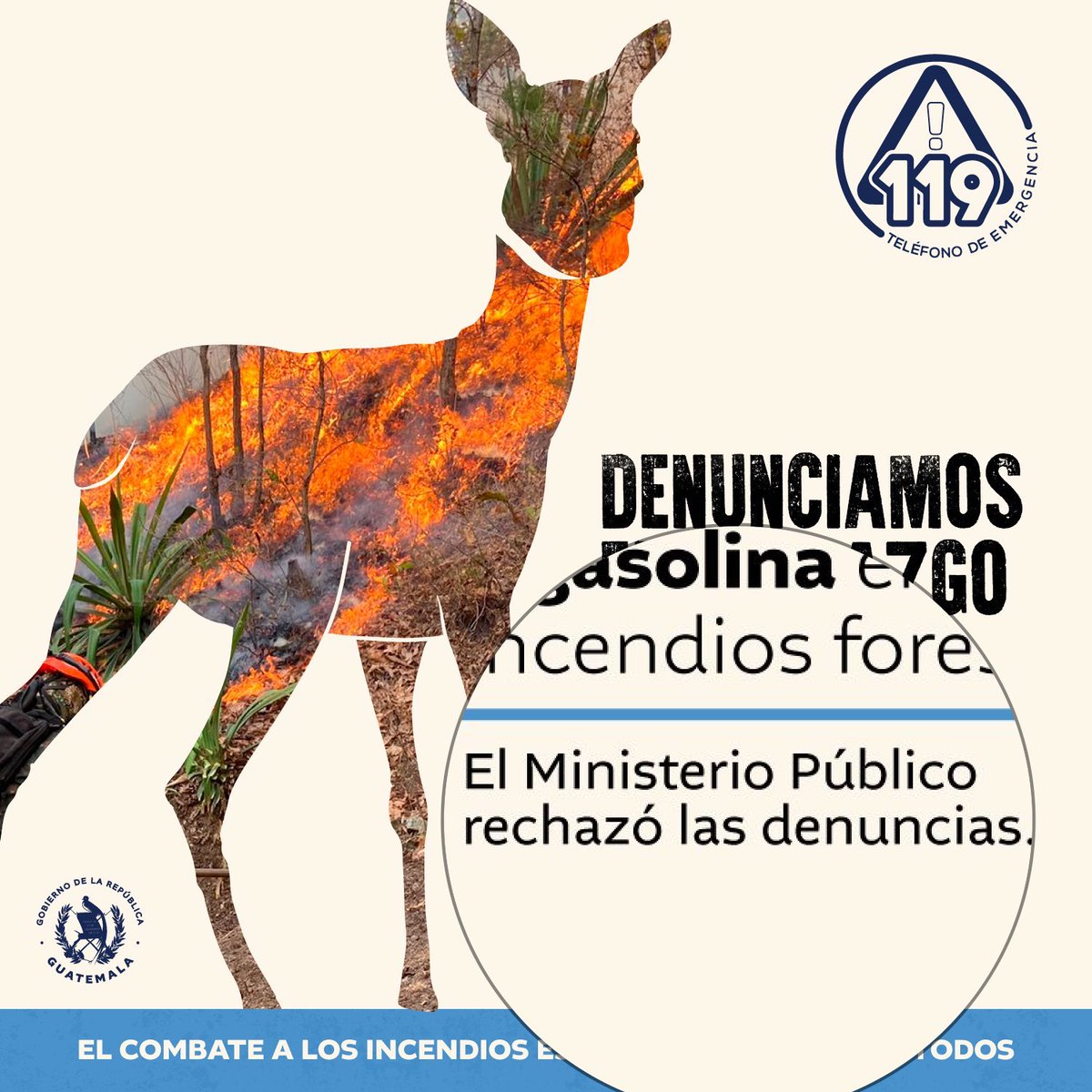 Ricigt1's tweet photo. 🔥🌲 En medio de los incendios forestales en #Guatemala, el @GuatemalaGob denunció el hallazgo de tambos con thinner y gasolina. Sin embargo, el MP de #ConsueloPorras rechazó las denuncias. ¡Inaceptable! ¡La impunidad no puede seguir! 🚫🔥 #FueraConsuelo #RenunciaPorras https://t.co/UJik8Uq4sY