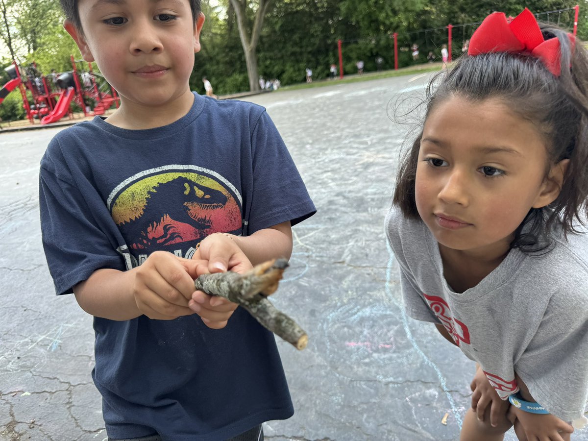 Beautiful day for Field Day!