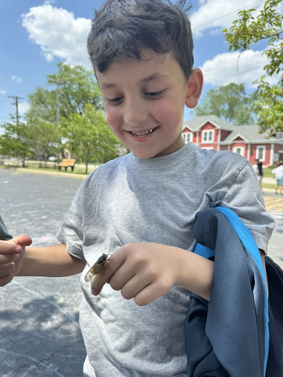 Stevenson School tweet media