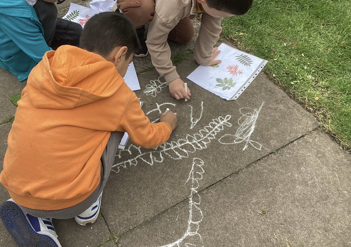 whcps's tweet photo. #whcYear1 had a wonderful time identifying different trees by closely studying and creating observational drawings of their leaves for #OutdoorClassroomDay #whcFORESTSCHOOL https://t.co/VOcOSqNZaq