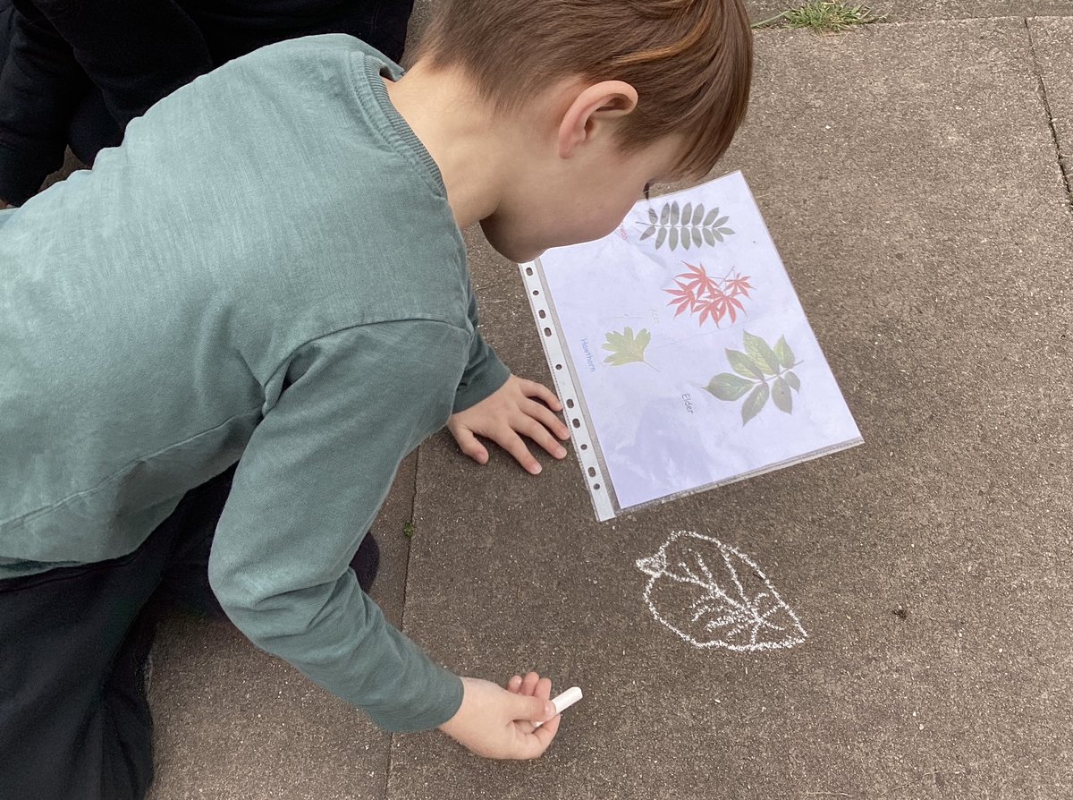 whcps's tweet photo. #whcYear1 had a wonderful time identifying different trees by closely studying and creating observational drawings of their leaves for #OutdoorClassroomDay #whcFORESTSCHOOL https://t.co/VOcOSqNZaq