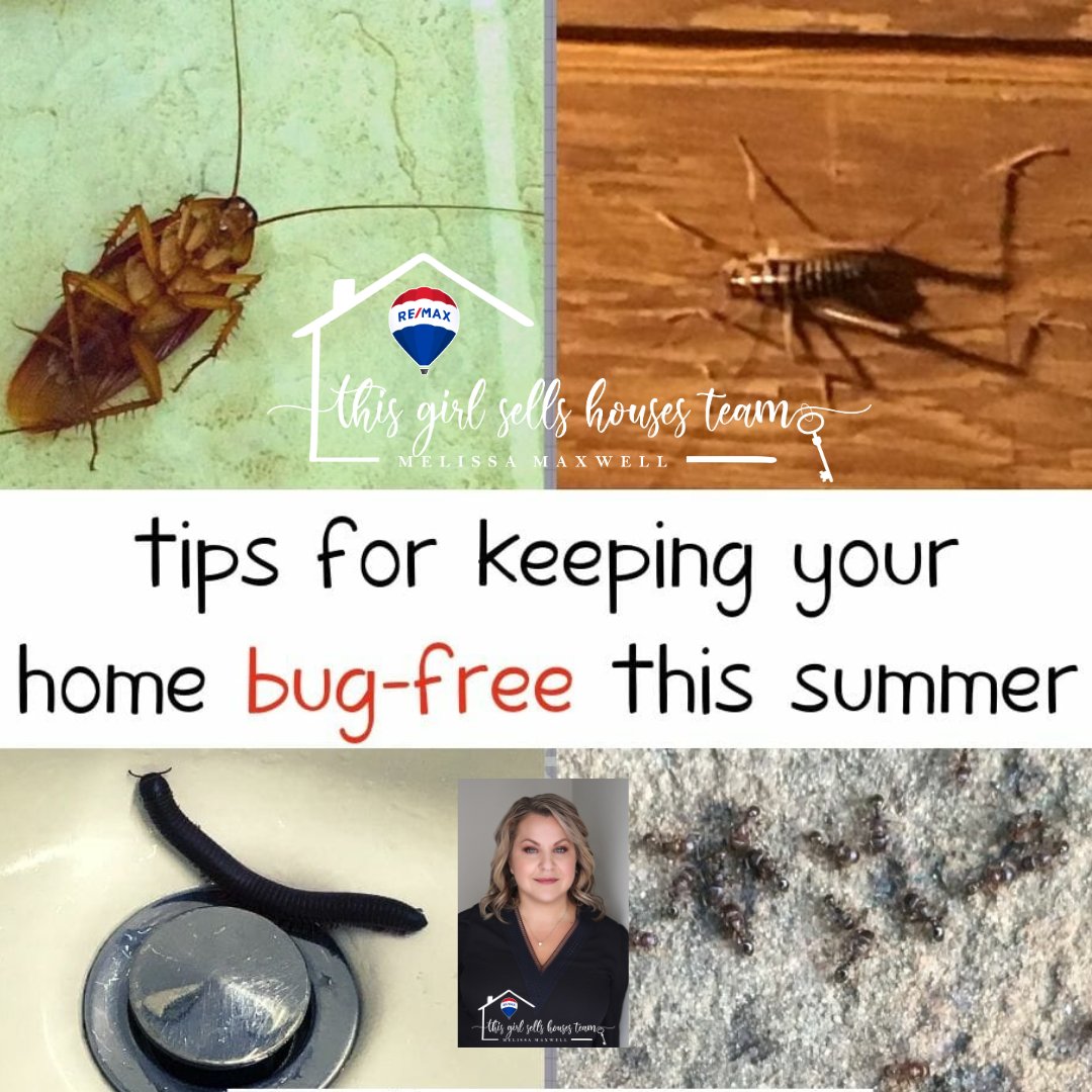 🏡✨ Summer Bug-Busting Tips from This Girl Sells Houses! 🌞🦟
Share these tips to keep your home bug-free this summer! 🌞🏡✨ #SummerTips #BugFreeHome #ThisGirlSellsHouses
…lls-houses-team-florence-ky.remax.com...
#ThisGirlSellsOhioAndKY
#ThisGirlSellsHousesTeam
#ReferYourGirl