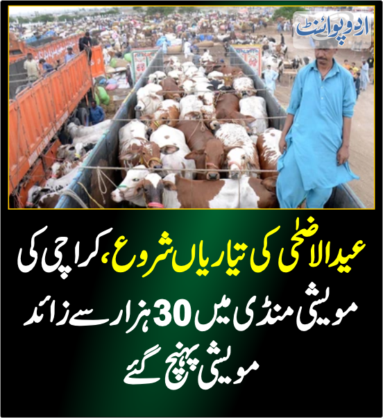 DailyUrduPoint's tweet photo. خبر کی مزید تفصیل جانئیے
https://t.co/6pMP4PdgeD
#EidAdha #Eid2024 #Karachi #CattleMarket #EidAzha https://t.co/nCcHN2X6x6