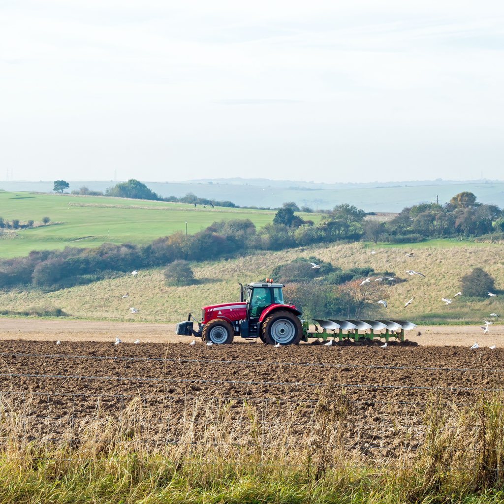 The expanded SFI offer has something for every type of farmer, including actions for precision farming, agroforestry and flood resilience.   If you’re considering applying, you can register your interest here: defragroup.eu.qualtrics.com/jfe/form/SV_cS…