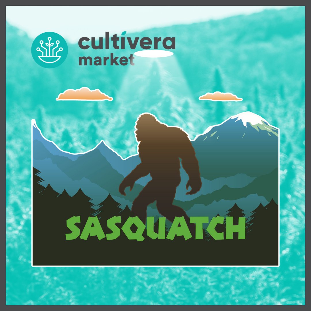 CultiveraPRO's tweet photo. Spotlight On Sasquatch: Family-Owned, Farmers At Heart
🗨️“Our mission is to bring high quality product at a fantastic price and the feedback has always been that we’ve nailed that!" 🎯
New #i502 Vendor Spotlight, only on the Cultivera Blog:👉🏽https://t.co/QkROHZNA4w🔗 https://t.co/UlDKWs3hvj