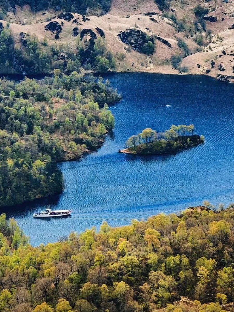 Hands up who wants to see #Scotland by boat?! 🙋‍♀️🛥️ 📍 Isle of May, #Fife 📷 IG/walki94 📍 Noss National Nature Reserve, #Shetland 📷 IG/akissfromuk 📍 Loch Ness, near #Inverness 📷 IG/jameshunter.3 📍 Loch Katrine, The Trossachs 📷 IG/dandi723