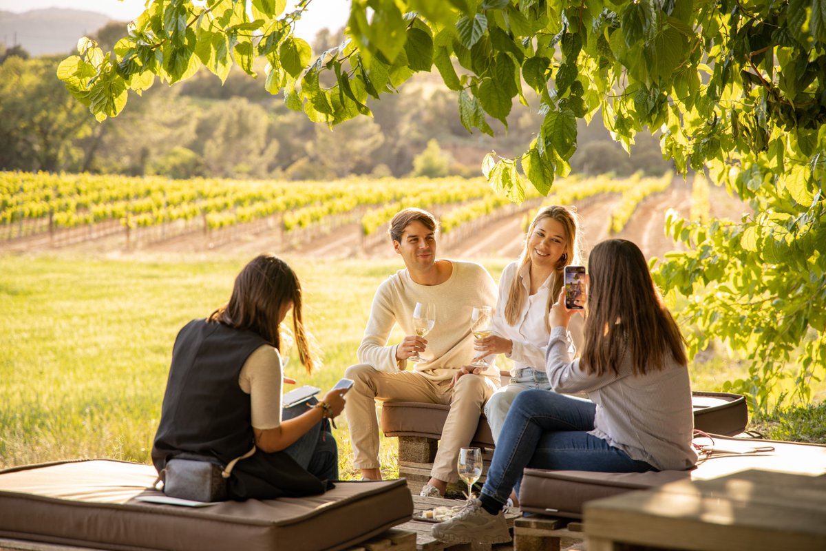 VinselCep's tweet photo. Moments Vins El Cep 💚
Vine a visitar-nos per gaudir d'indrets com aquests.
🌐https://t.co/xIkgrPVS8T
-
#vinselcep #penedes #espiells #vinya #enoturisme #winetourism #enoturismo #santsadurni #grape #vineyard #wine #cava #bodega #cellar #celler https://t.co/VbvLMUnyAo