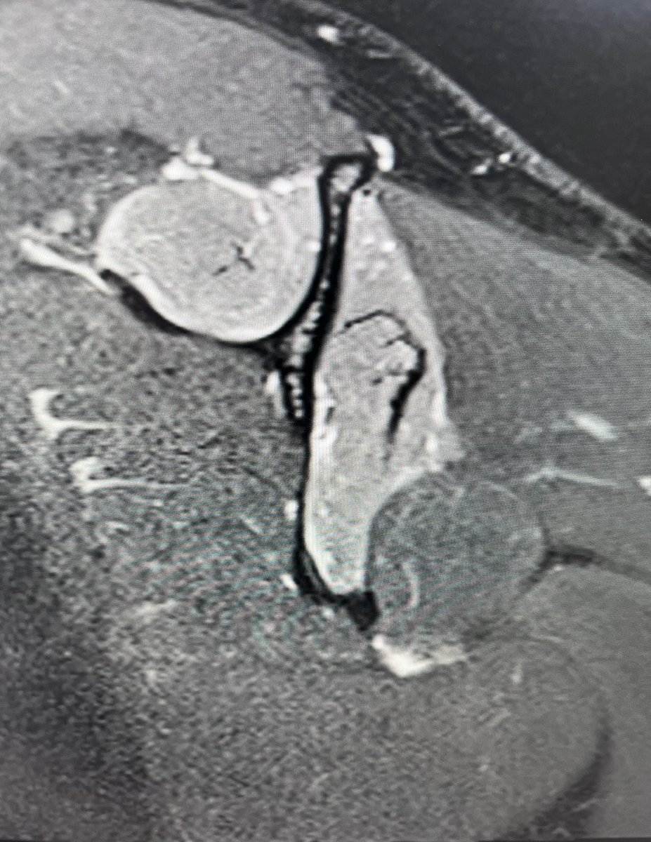 Lee Van Rensburg tweet media