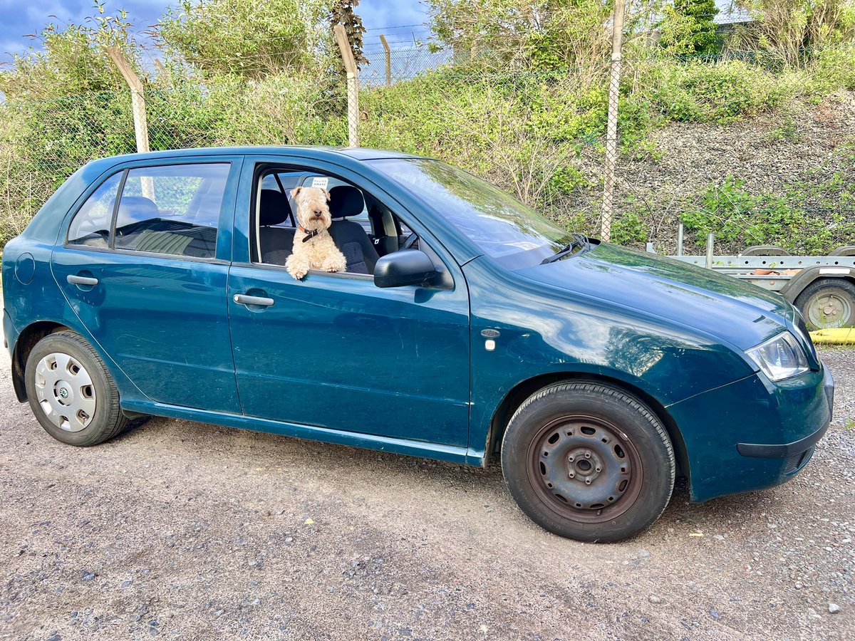 Bertie Lakeland Car Sales are branching out in to cheap affordable Dog Cars ……. Already slightly grubby and well used but with a FSH and tested by me. Here is a very fine example in a nice shade of Lakeland Green send me a message for more information ❤️