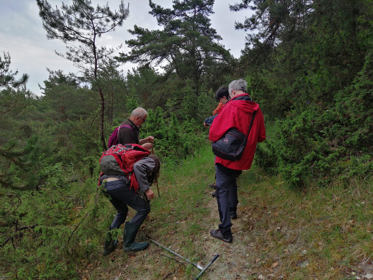 Sortie de diagnostic des milieux naturels sensibles avec le #pnr de la Montagne de #reims. Beaucoup de botanique, un peu de sols et de roches. 👍