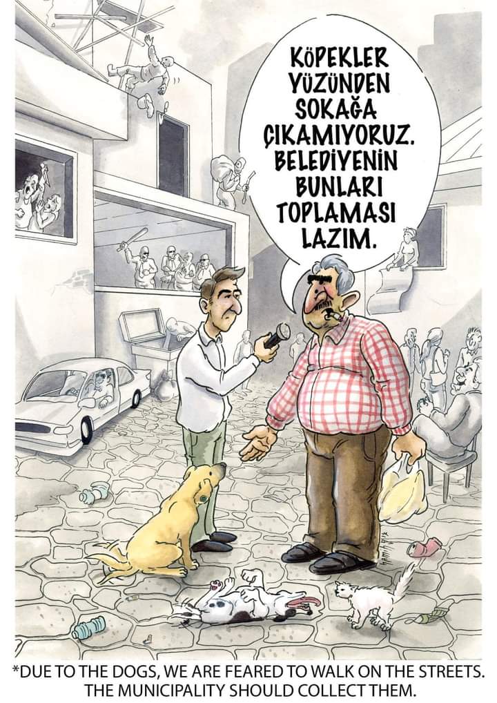 #KısırlaştırAşılaYerindeYaşat #Katliyamadurde #SokaktayımYanındayım