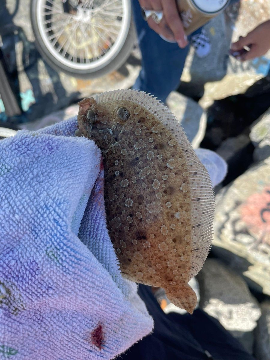 Jonathan Norris tweet media