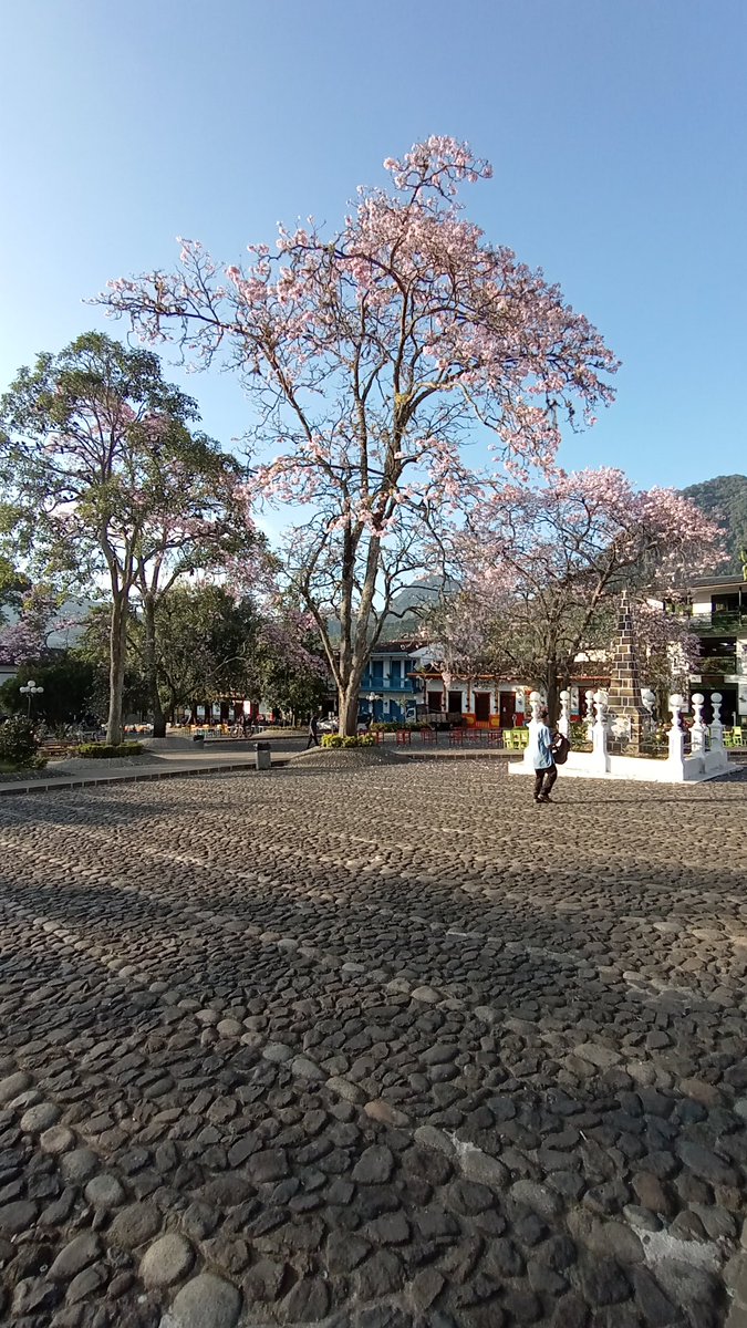 montaneros_va's tweet photo. 🎉 ¡Jardín celebra su cumpleaños 161! 🎂 Únete a nosotros para conmemorar la  historia y la belleza de nuestra Celeste Villa Encantada. 🌸🎈 #Jardín161 #JardínAntioquia #AntioquiaEsMagica https://t.co/JJoKj1JOK5