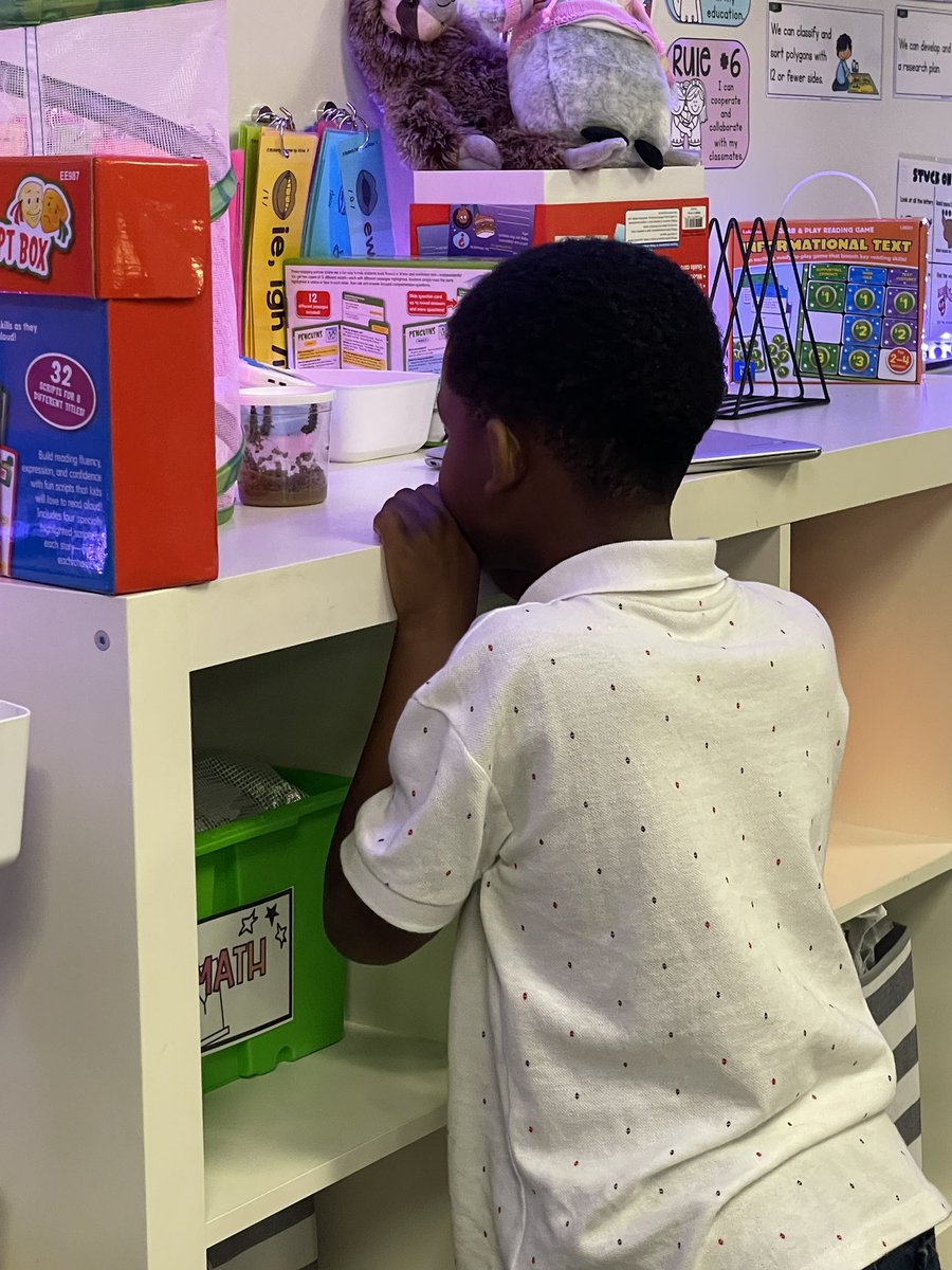 Mrs. Schroeder (@mschroeder_lse) on Twitter photo Today we released Tay Tay, Spidey, Smartie Jr, and Emerald into the world. 🌎 It was such a fun learning experience filled with so many questions, observations, and excitement! 🐛➡️🦋
<a href="/HumbleISD_LSE/">Lakeshore Elementary</a> #schroedersmarties #WeAreLakeshore Today we released Tay Tay, Spidey, Smartie Jr, and Emerald into the world. 🌎 It was such a fun learning experience filled with so many questions, observations, and excitement! 🐛➡️🦋
<a href="/HumbleISD_LSE/">Lakeshore Elementary</a> #schroedersmarties #WeAreLakeshore