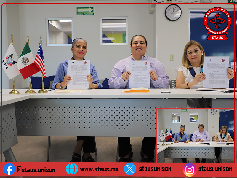 STAUS en Línea tweet media