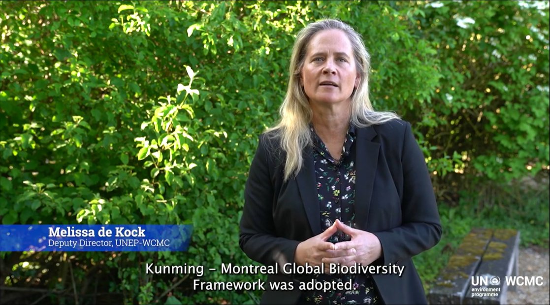 🌍 Let's unite in our commitment to being #PartOfThePlan! Post #BiodiversityDay, Melissa de Kock, Deputy Director at @unepwcmc, highlights our shared responsibility in preserving biodiversity. 📽️ Watch: cbd.int/biodiversity-d…