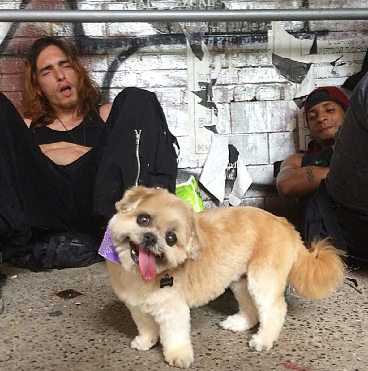 MarnieOnETH's tweet image. It sure is 👅