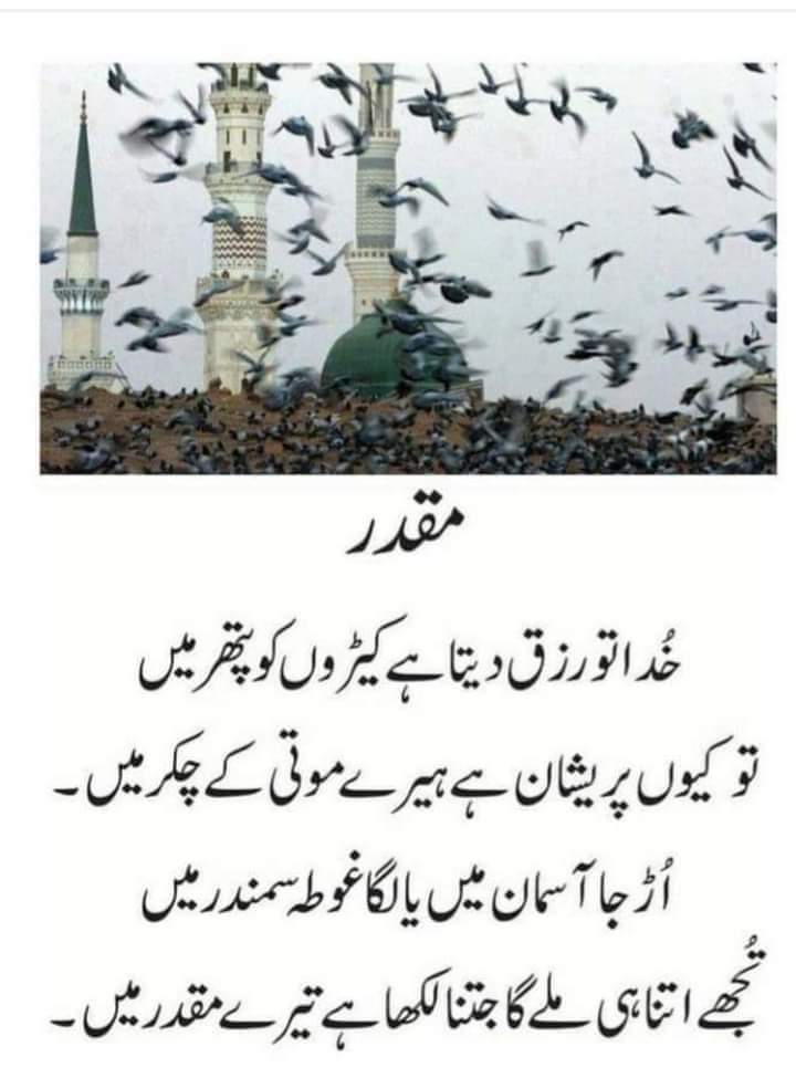 Awaisrehmanch's tweet photo. آسلام و علیکم فرینڈز ❤️‍🔥
آج کی نصیحت📢
اس عظیم پروردگار پر بھروسہ رکھیں اپنے ایمان کو مضبوط رکھیں 💪💪
آپ کو اتنا ہے ملے گا جتنا آپ کے مقدر میں لکھا ہے
 💞گڈ نائٹ دوستو 💞 https://t.co/hhwQF9xkwj